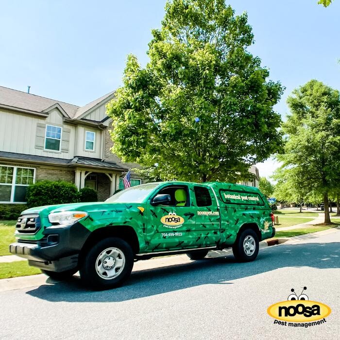 Images Noosa Pest Management LLC