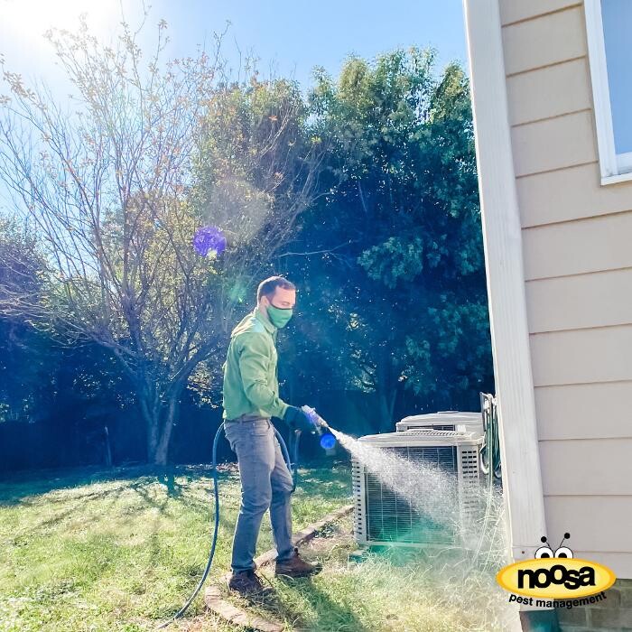 Images Noosa Pest Management LLC