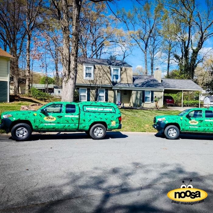 Images Noosa Pest Management LLC