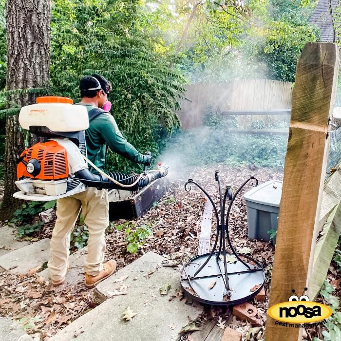 Images Noosa Pest Management LLC