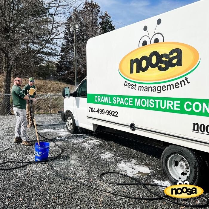 Images Noosa Pest Management LLC