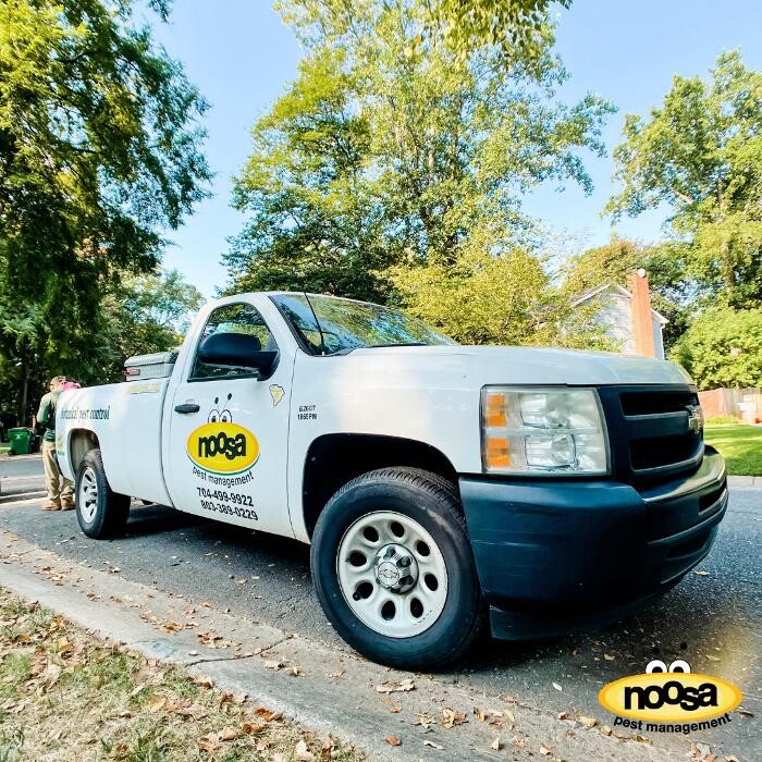 Images Noosa Pest Management LLC