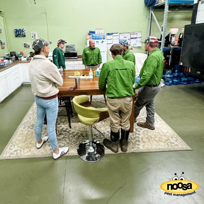 Images Noosa Pest Management LLC