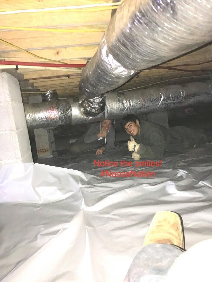 Images Noosa Pest Management LLC