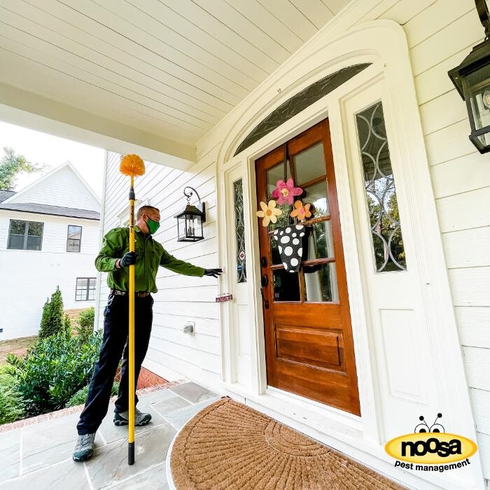 Images Noosa Pest Management LLC