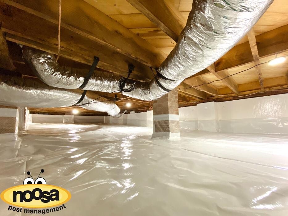 Images Noosa Pest Management LLC
