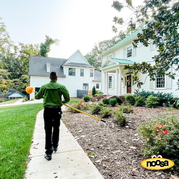 Images Noosa Pest Management LLC