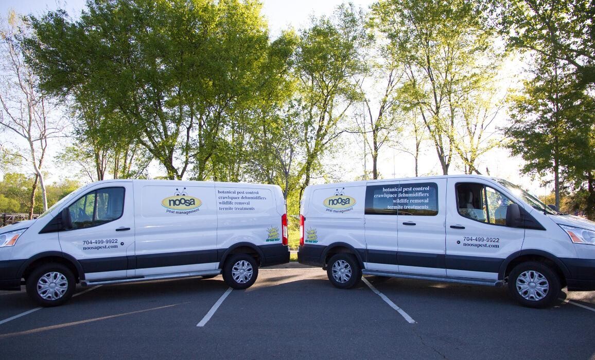 Images Noosa Pest Management LLC