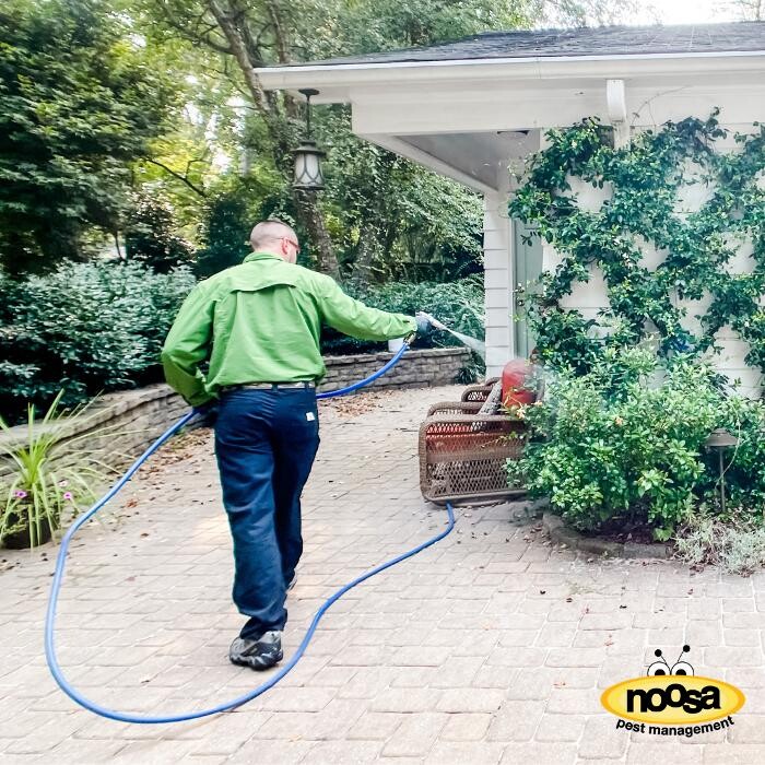Images Noosa Pest Management LLC