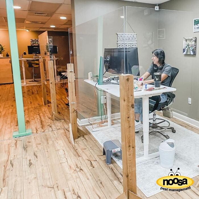 Images Noosa Pest Management LLC