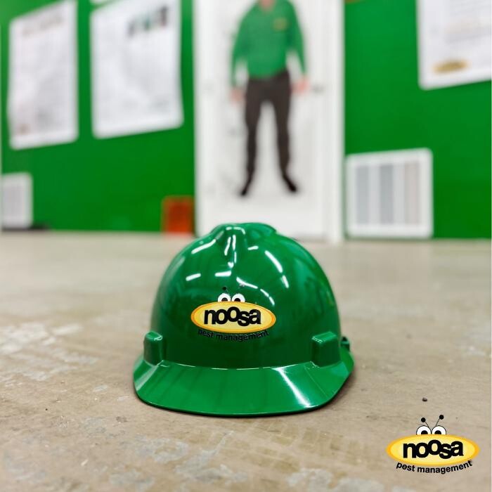 Images Noosa Pest Management LLC