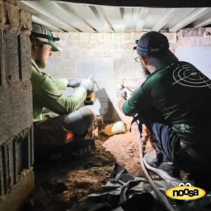 Images Noosa Pest Management LLC