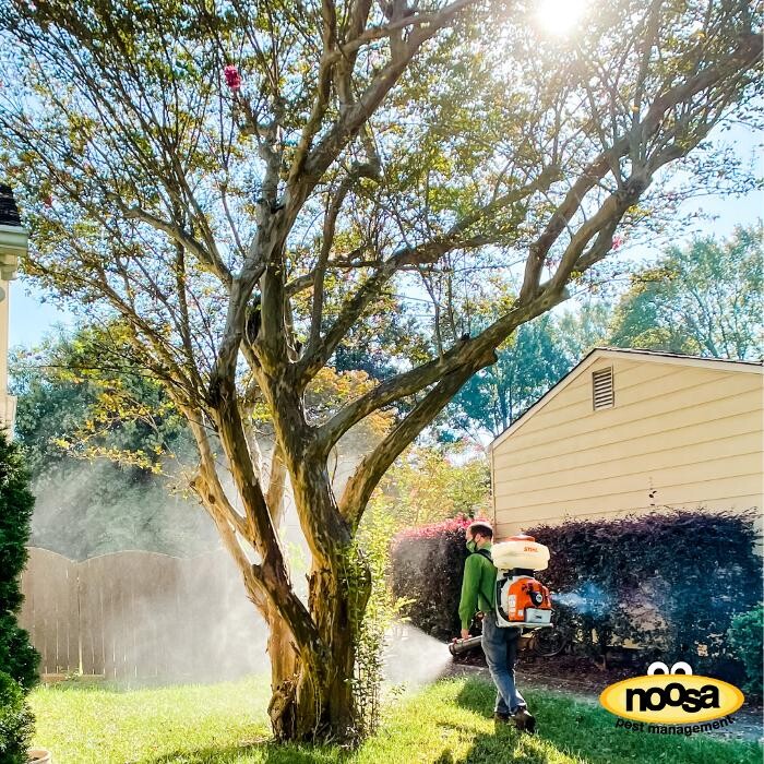 Images Noosa Pest Management LLC