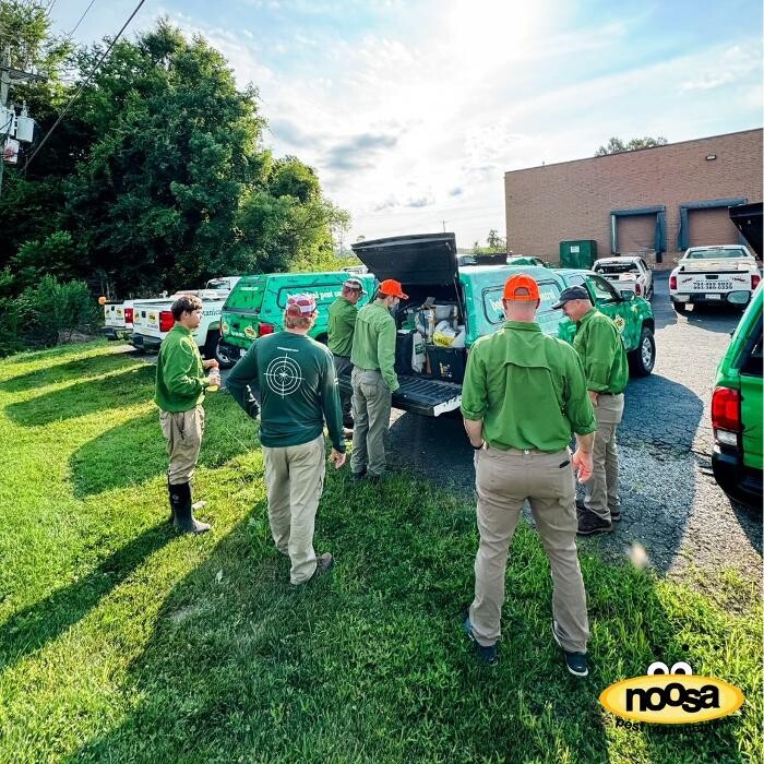 Images Noosa Pest Management LLC