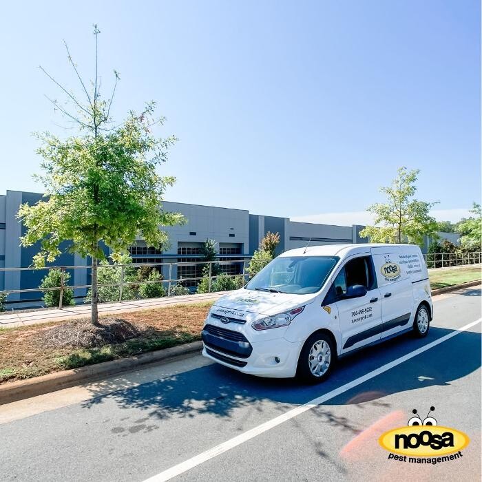 Images Noosa Pest Management LLC