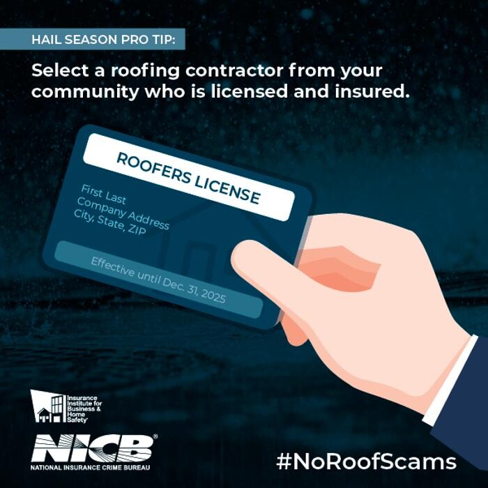 Images Terra Insurance Services