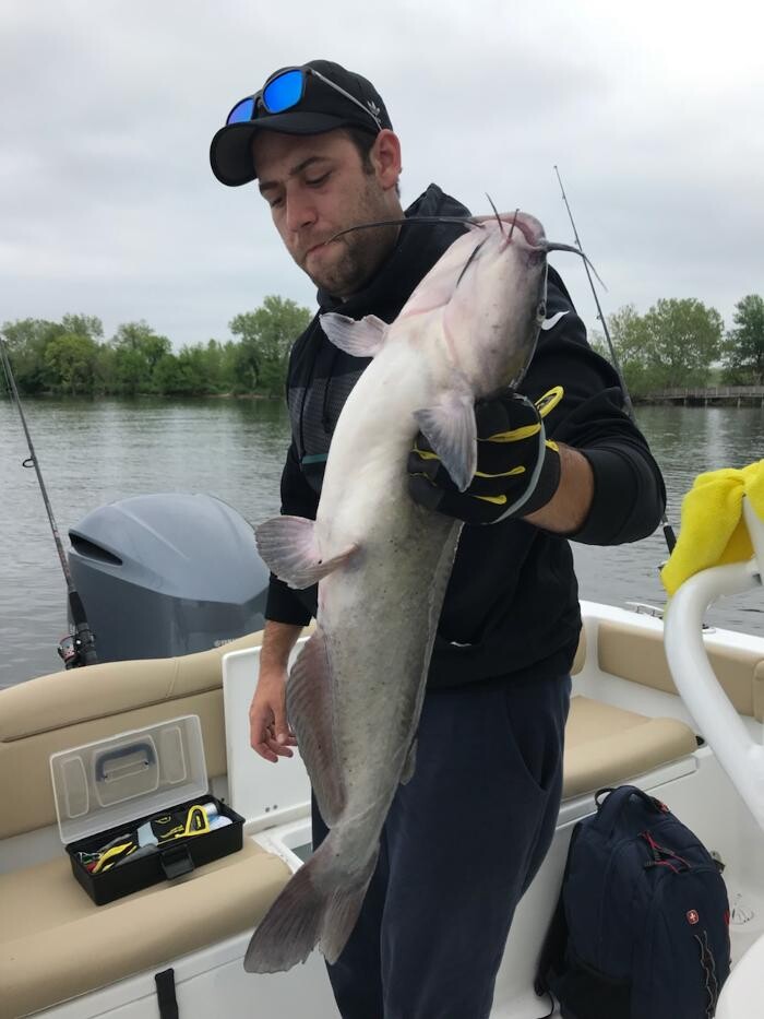 Images Terra Insurance Services