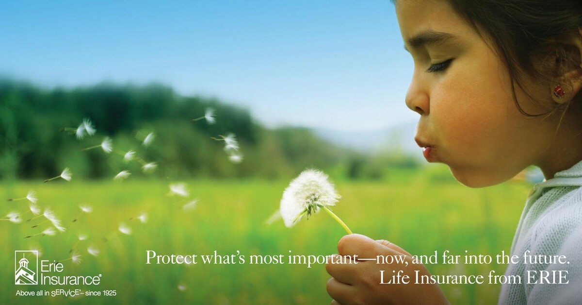 Images Terra Insurance Services