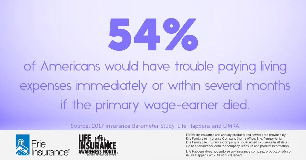 Images Terra Insurance Services