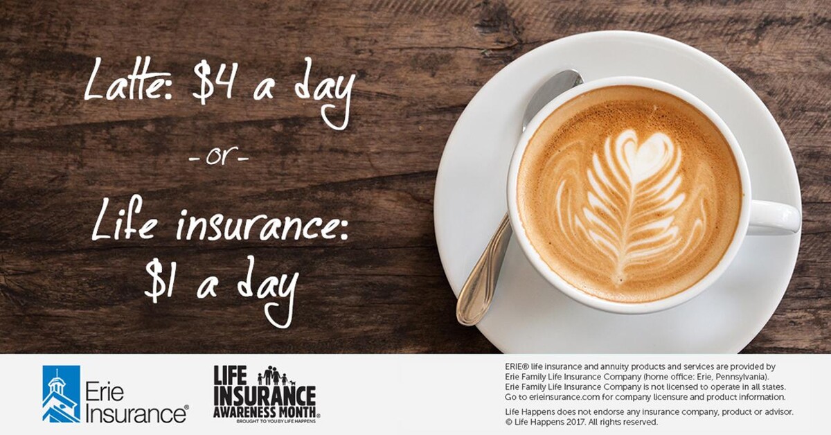 Images Terra Insurance Services