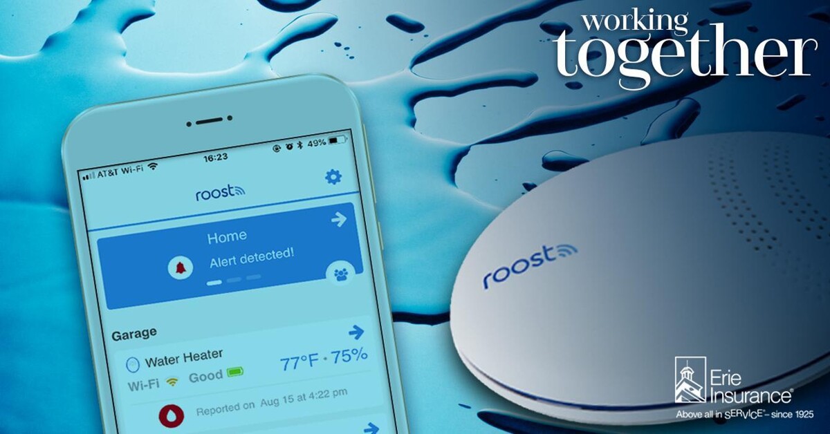 Images Terra Insurance Services