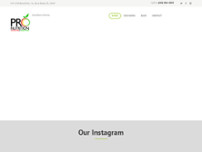Screenshot for https://pronutritionboca.com