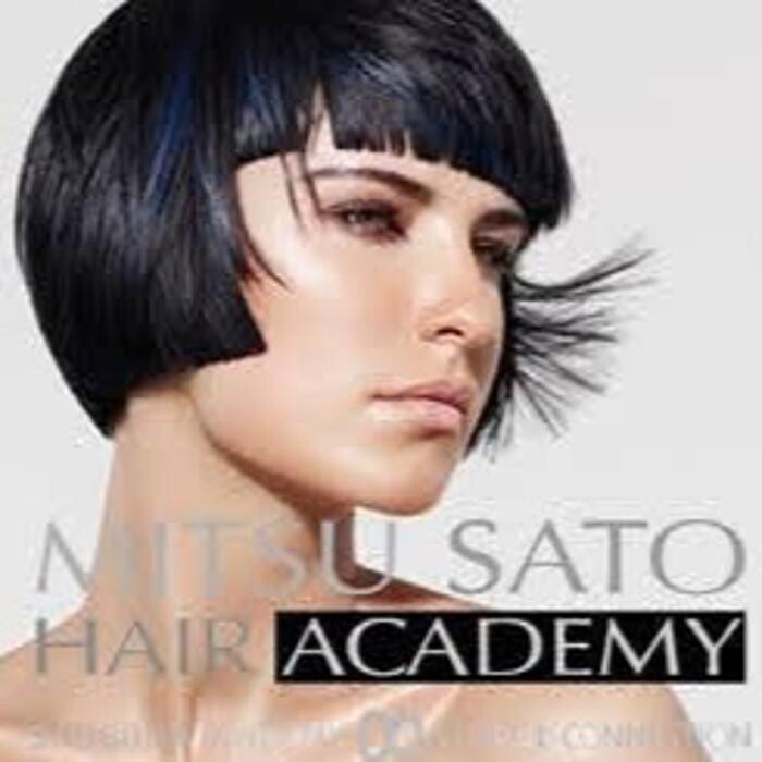 Mitsu Sato Hair Academy Logo