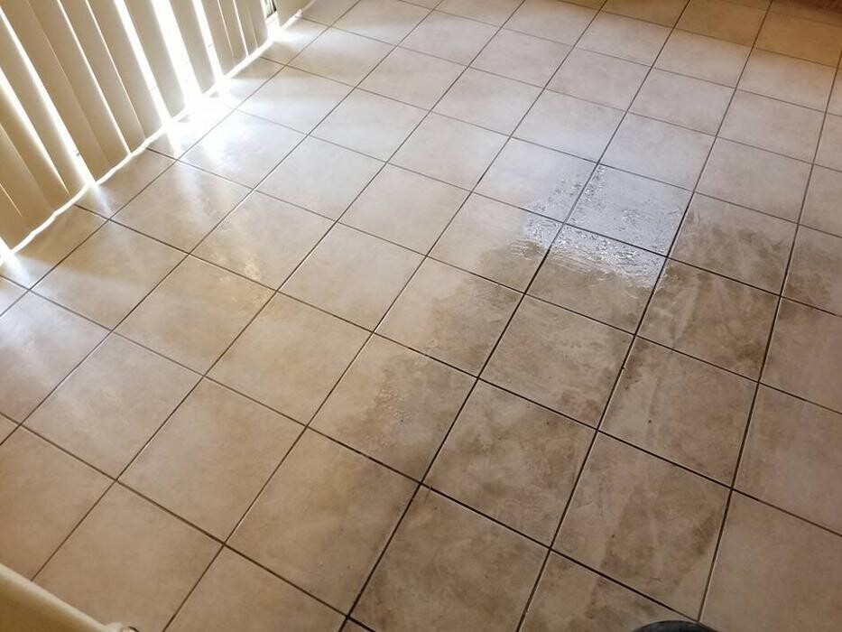 Images Arizona Carpet and Tile Steamers