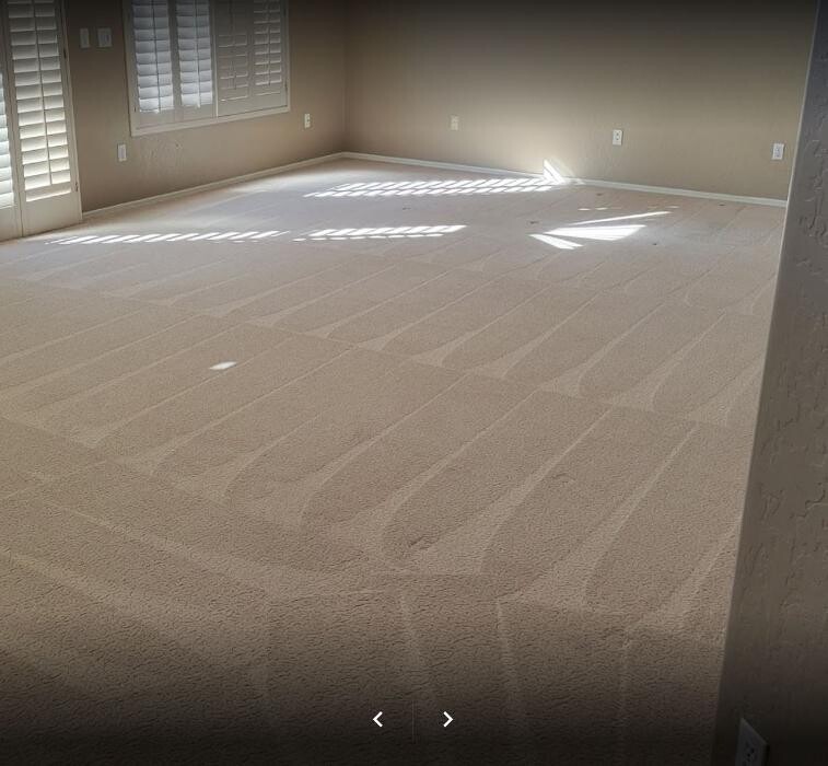 Images Arizona Carpet and Tile Steamers