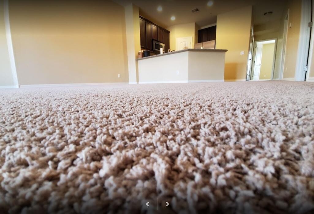 Images Arizona Carpet and Tile Steamers