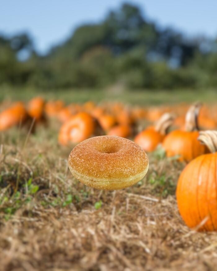 Images BoSa Donuts
