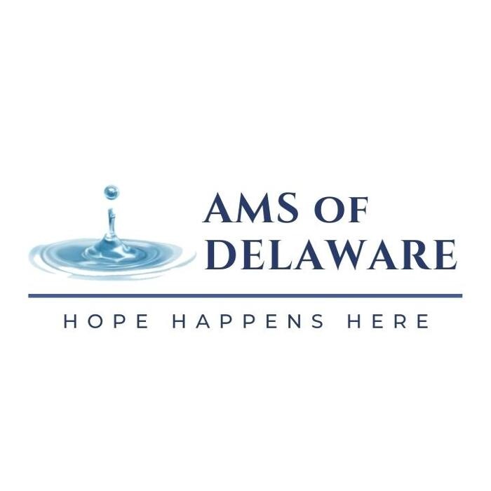 Images AMS of Delaware, LLC