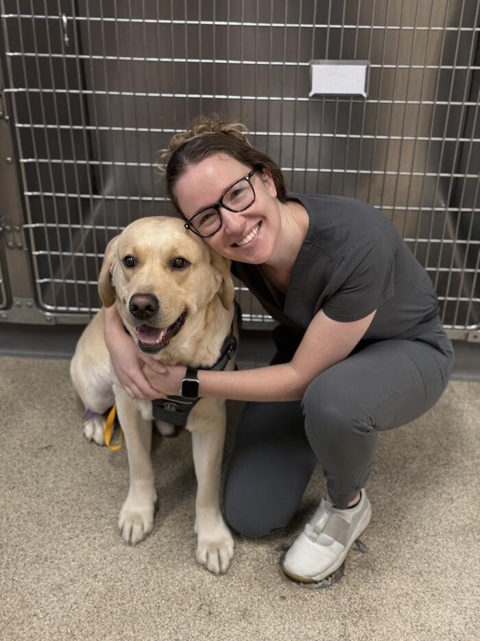 Images Suburban Animal Clinic