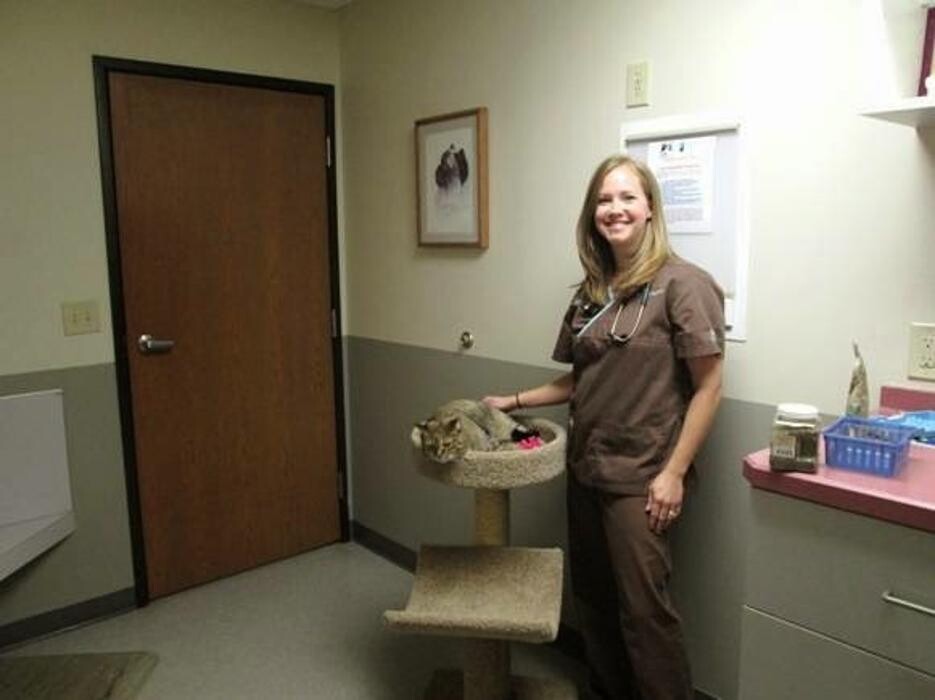 Images Suburban Animal Clinic