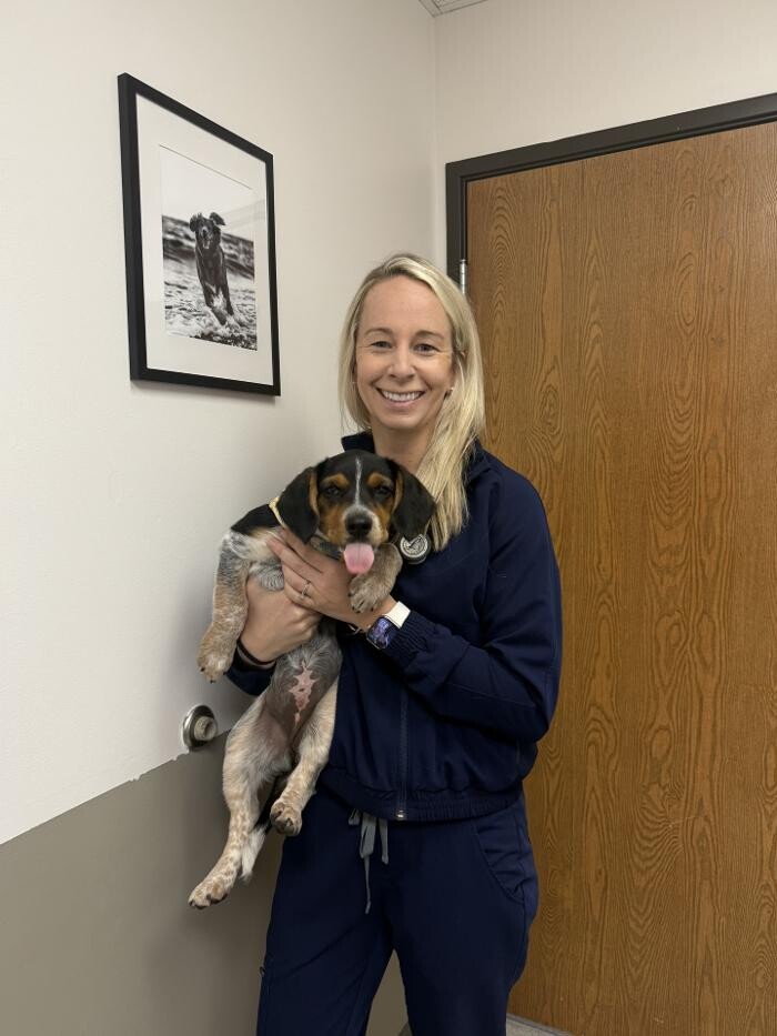 Images Suburban Animal Clinic