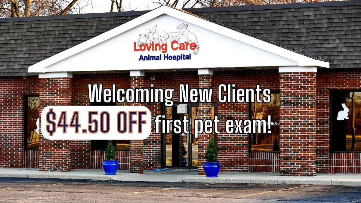 Images Loving Care Animal Hospital
