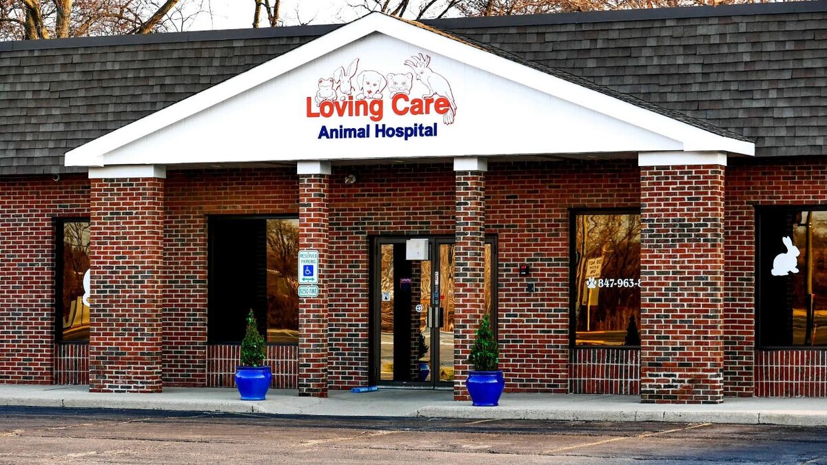 Images Loving Care Animal Hospital