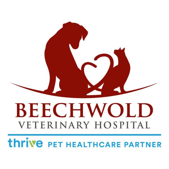 Beechwold Veterinary Hospital, A Thrive Pet Healthcare Partner Logo