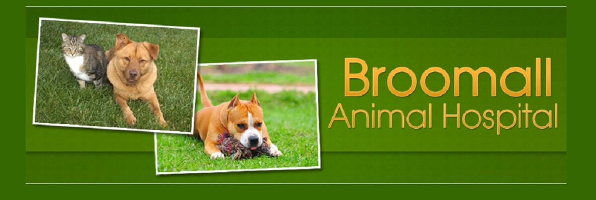 Images Broomall Animal Hospital