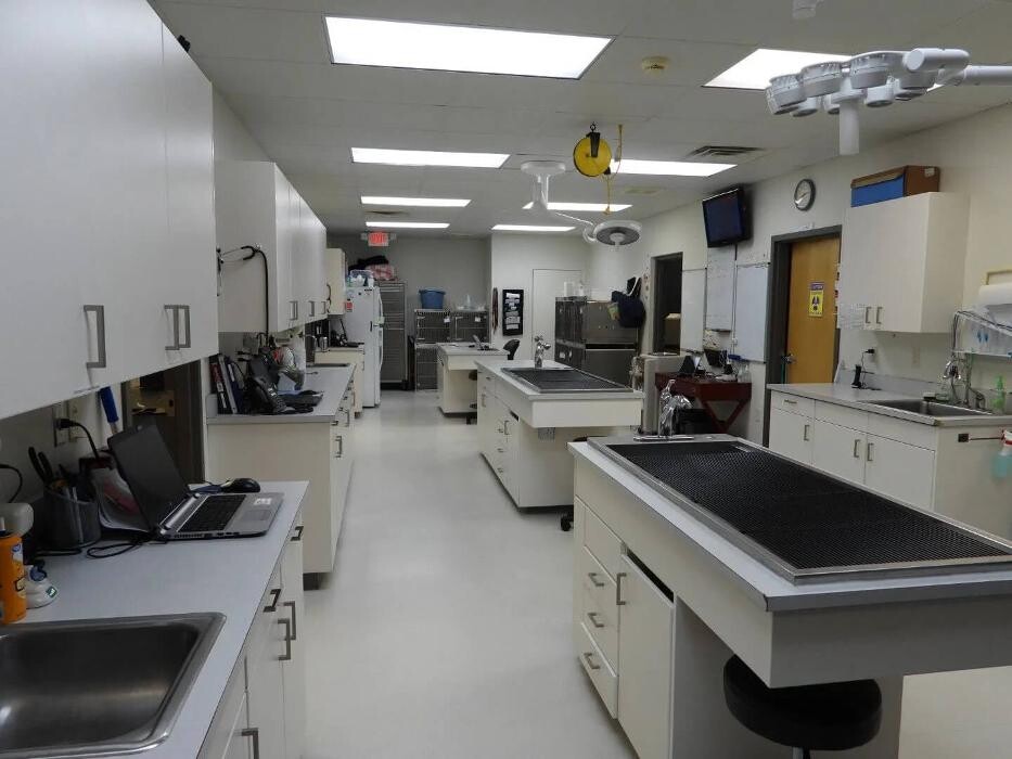 Images Spartan Animal Hospital