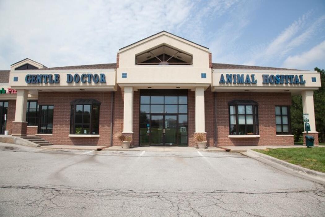 Images Gentle Doctor Animal Hospital