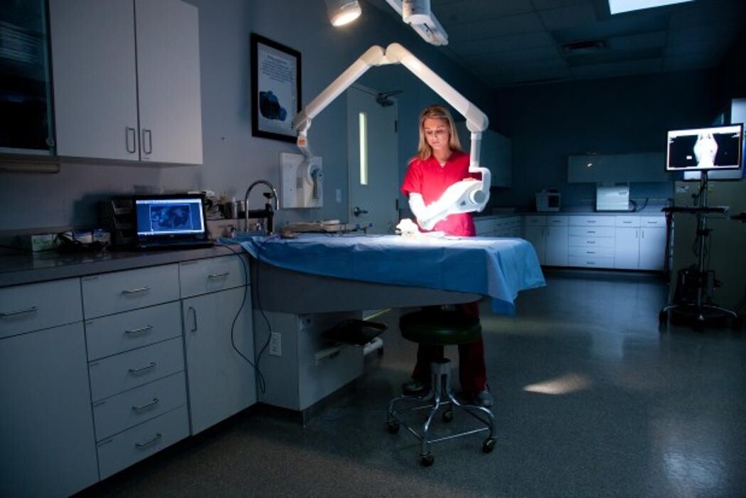 Images Gentle Doctor Animal Hospital