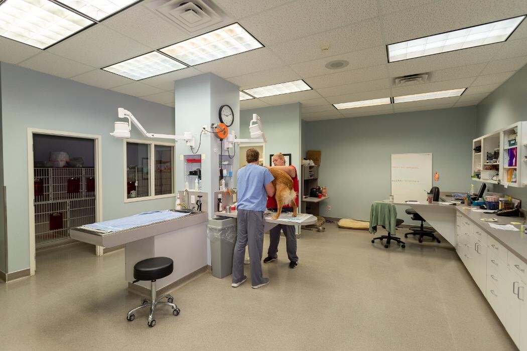 Images Gentle Doctor Animal Hospital