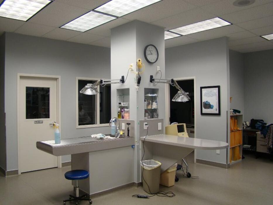Images Gentle Doctor Animal Hospital