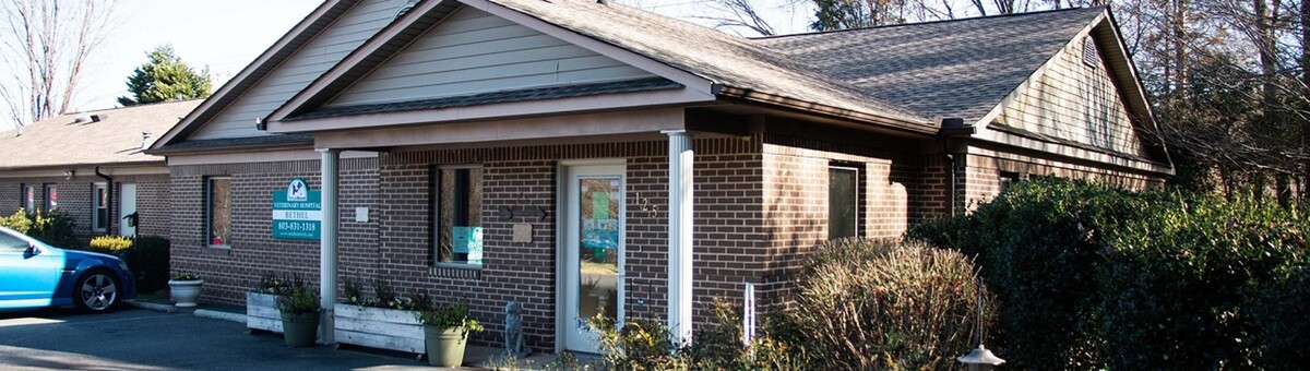 Images TotalBond Veterinary Hospital at Bethel