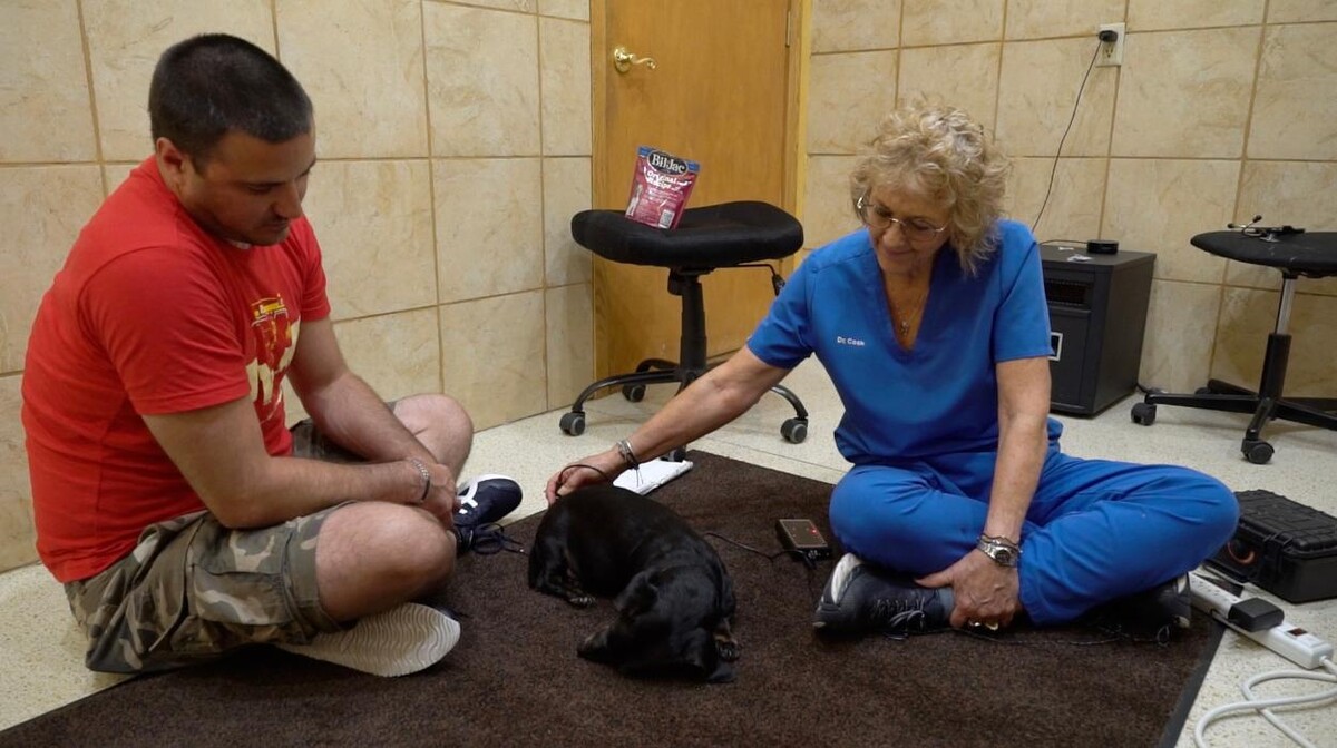 Images The Bluffs Pet Clinic