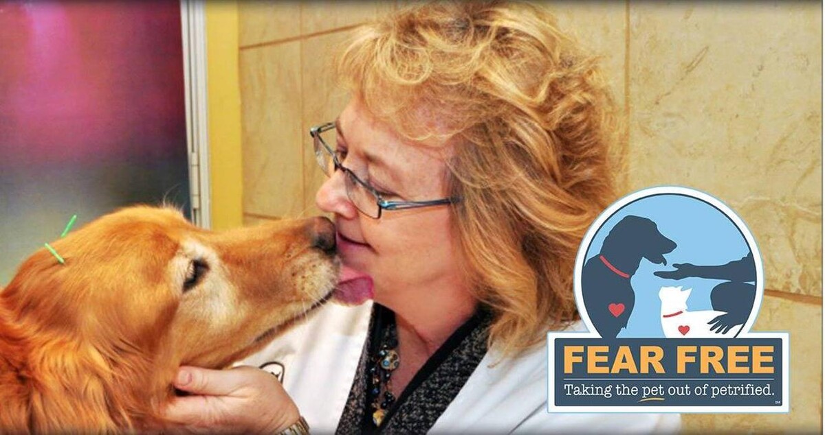 Images The Bluffs Pet Clinic