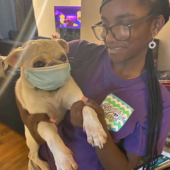 Images Lashley Animal Hospital