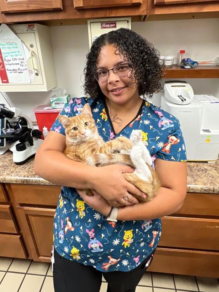 Images Lashley Animal Hospital