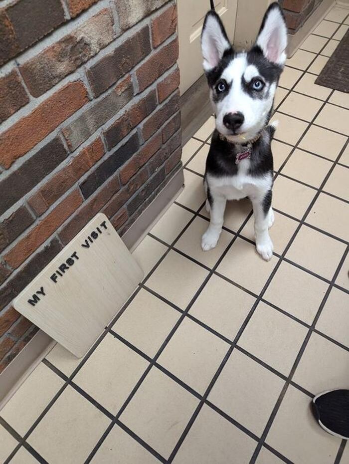 Images Lashley Animal Hospital